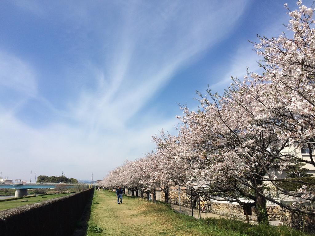 Jyoseikan Kōchi Exteriér fotografie